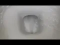 73 American Standard and Crane Plumbing Toilets at Menards