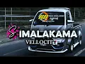 🫦SIMALAKAMA || ACARA DANGDUT VELLOCITY 🦓RUS DHILLANO RMXR 🫀✅