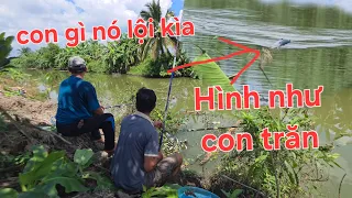 Anh em nổi da gà, đứng hình gập cảnh này khi đang câu cá trong bờ chuối | Săn bắt SÓC TRĂNG |