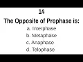 Top 40 Mitosis and Meiosis Questions and Answers
