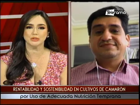 Rentabilidad y sostenible en cultivos de camarón por uso de adecuada nutrición temprana