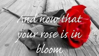seal kiss from a rose