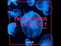 Lagu The Aquarius K Project Vol.1 Sampler Kallie _ music