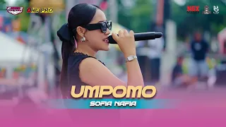 sofia nafia umpomo live one pro pemuda purwoharjo bersatu pobers x ngx audio jember