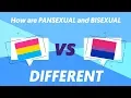 Pansexual vs Bisexual - What s the Difference