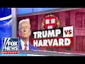 Harvard is making a dangerous gamble warns legal expert