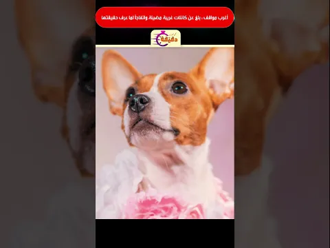 اغرب مواقف : بلغ عن كائنات غريبة مضيئة واتفاجأ لما عرف حقيقتها