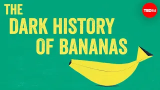 the dark history of bananas john soluri