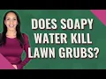 Does soapy water kill lawn grubs