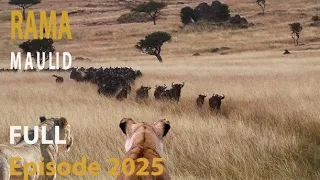 WILD MIGRATION - PART 2 | The Power and Challenges of the Wild Migration | #animaldocumentary
