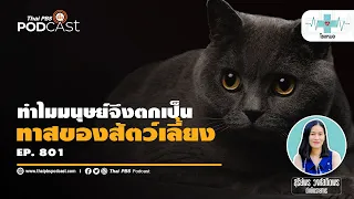 สัตว์เลี้ยงสามารถช่วยลดความเหงาของมนุษย์ได้อย่างไร