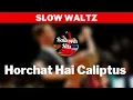 Download Lagu SLOW WALTZ music  | Horchat Hai Caliptus