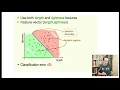 Lecture 5 COGS118A Decision boundaries