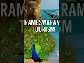 Download Lagu Rameswaram Tourism | Temple, Beaches \u0026 Iconic Pamban Bridge