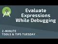 Evaluate Expressions While Debugging