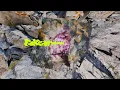 Fakear - Alma (Official Visualizer)