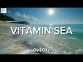 Owl City - Vitamin Sea (Lyrics Video)
