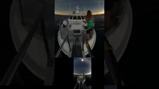 Eclipse 100% Totality – Noeta in the Sea of Cortez Throwback #shorts