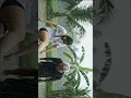 Download Lagu Nikmati Hujan Lebat di Sawah | Suara Hujan untuk Tidur Nyenyak dan Fokus