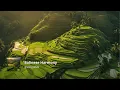 Download Lagu Balinese Harmony | Relax Music | Study and Reflexion 2025