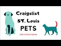 Craigslist St Louis Pets