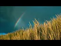 Steven Jam - Saksi Sunset (Official Lyric Video)