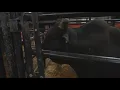 2023 PBR World Finals at Dickies Arena in Fort Worth