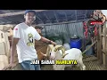 Download Lagu TITISAN DOMBA LEGEND ARIL KUMPUL DISINI