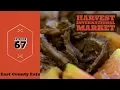 East County Eats Episode 67 - Harvest International Market in El Cajon