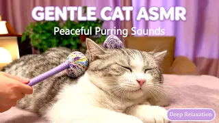 Gentle Cat ASMR 🐱 Soft Purring Sounds for Deep Sleep & Relaxation