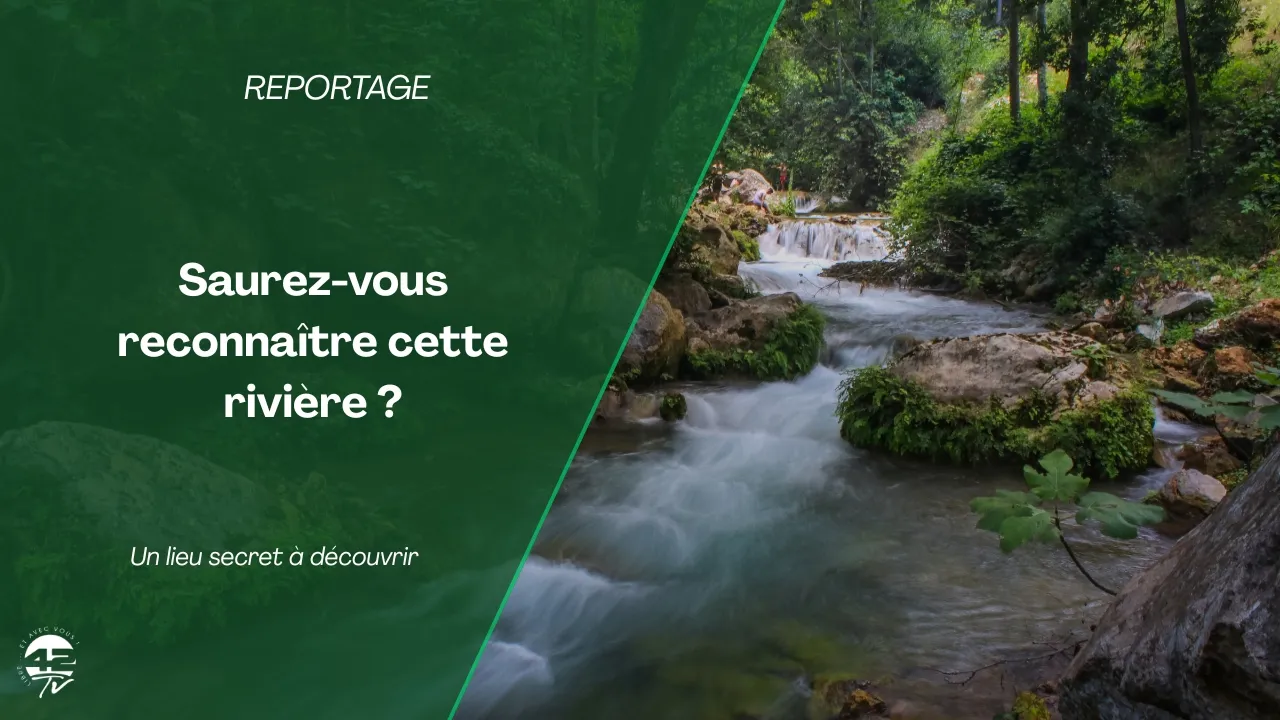 ⁣Une rivière secrète pour se rafraîchir… Saurez-vous reconnaître ce lieu ?