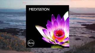 Download Nostalgic Summer Future Bass Music - Rosehip - Meditation (Official Visualiser) MP3