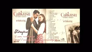 طائر النمنمة فريدة 