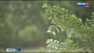 На Омск надвигаются дожди и грозы