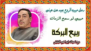 ربيع البركة رحل حبيب الروح بعيد عن عينى حبيبي لو سمح الزمان 
