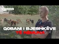 Download Lagu QOBANI I BJESHKËVE TË NËMUNA Me këtë punë e mbaj familjen time, edhe pse disa thonë ‘ik se je qoban'