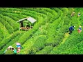Download Lagu 138] DJ SUNDA REMIX SLOW BASS FULL | HAYANG JAJAN LAGU REMIX SLOW BASS TERPOPULER