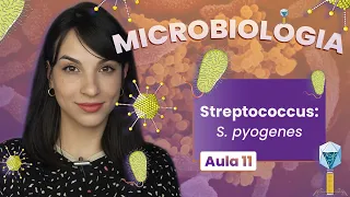 STREPTOCOCCUS: S.pyogenes | Videoaula | Microbiologia | Flavonoide #11