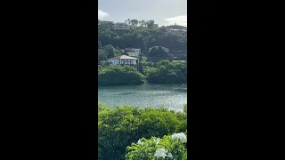 Tropical Storm Bret – Hurricane Season has Started! #shorts