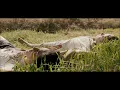 Troye Sivan  - The Good Side