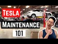 Does TESLA Require Maintenance Everything you need to know