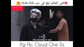 فتى المافيا يقع في حب فتاة هادئة 