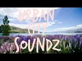 Flume -  Hyperreal ft Kučka  (HQ)