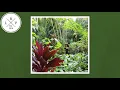 Ryan Little - Think About You