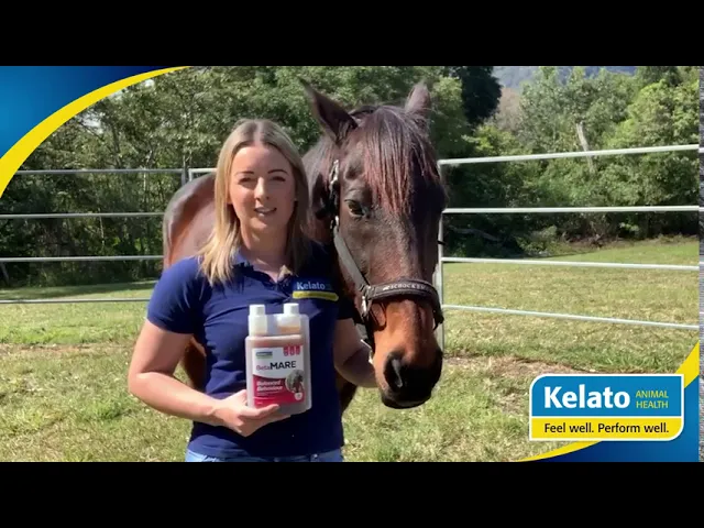 Kelato BetaMARE Behavioural Supplement for Mares