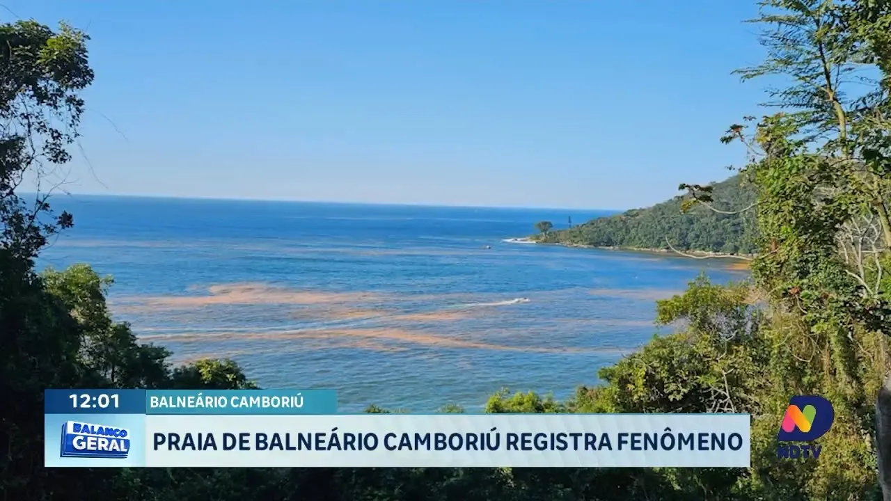 Fenômeno Maré Vermelha torna água fluorescente em Balneário Camboriú