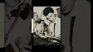 ديو عبد الحليم  ليلى مراد  ليه خلتني احبك   دندنها