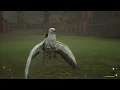Hogwarts Legacy - Highwing Mount and Dismount