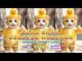 Download Lagu GARA GARA SEBOTOL MINUMAN \u0026 TANG TING TUNG VERSI KUCING JOGET LUCU TERBARU