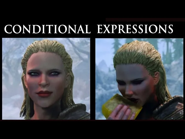 Skyrim - Conditional Expressions Mod
